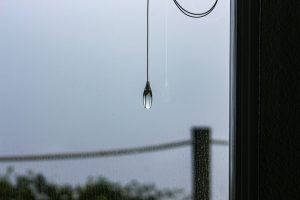 Photo glass pendant light